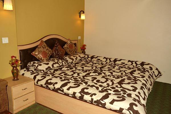 Hotel Aala Residency, Srinagar 5